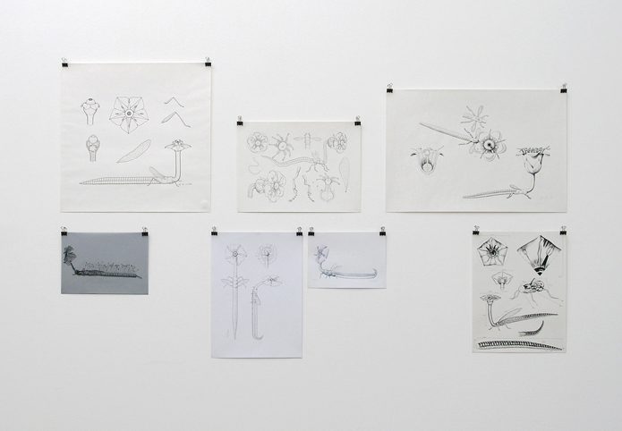 Tum Tum from Planet Lum: installation view